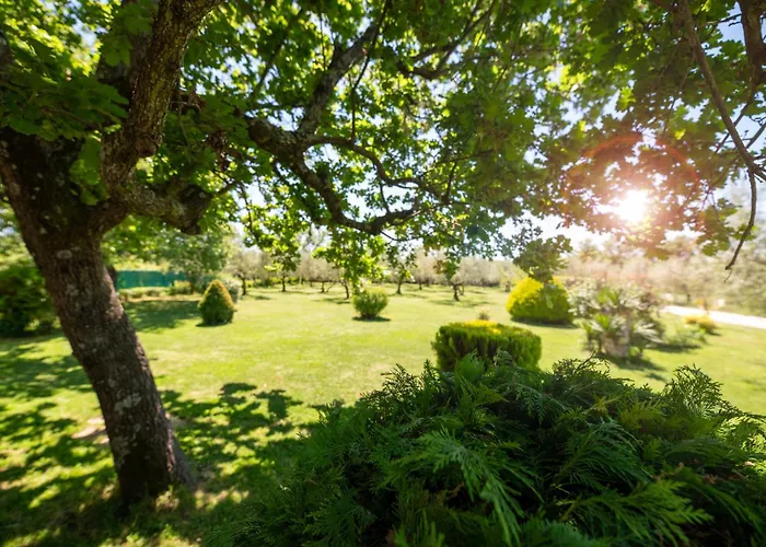 Holiday Home Sergo